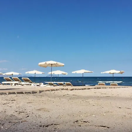New In San Juan Playa, Pau5 *